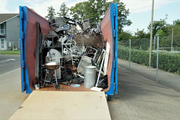 Best Yard Cleanup Services  in Trenton, IL