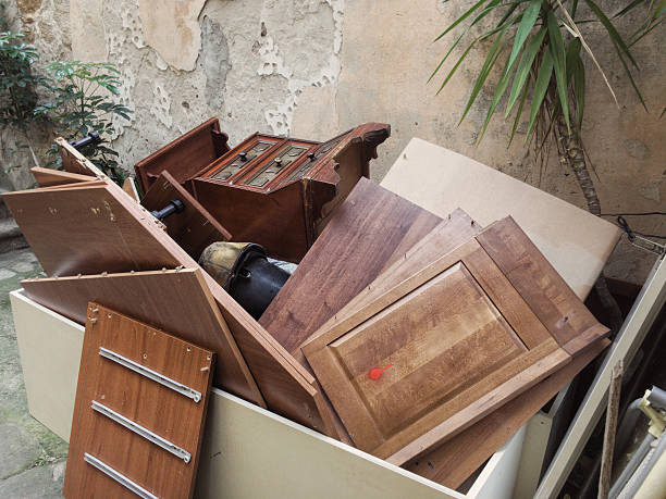 Best Electronics Removal Services  in Trenton, IL